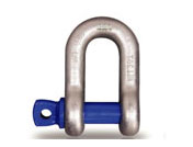 猪猪视频APP苹果下载DW型卸扣